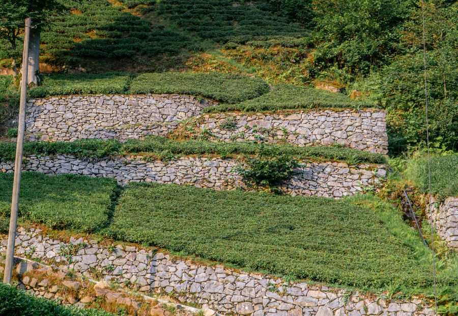 Two terraced retaining walls with a planted bench between them on a Cedar Rapids slope